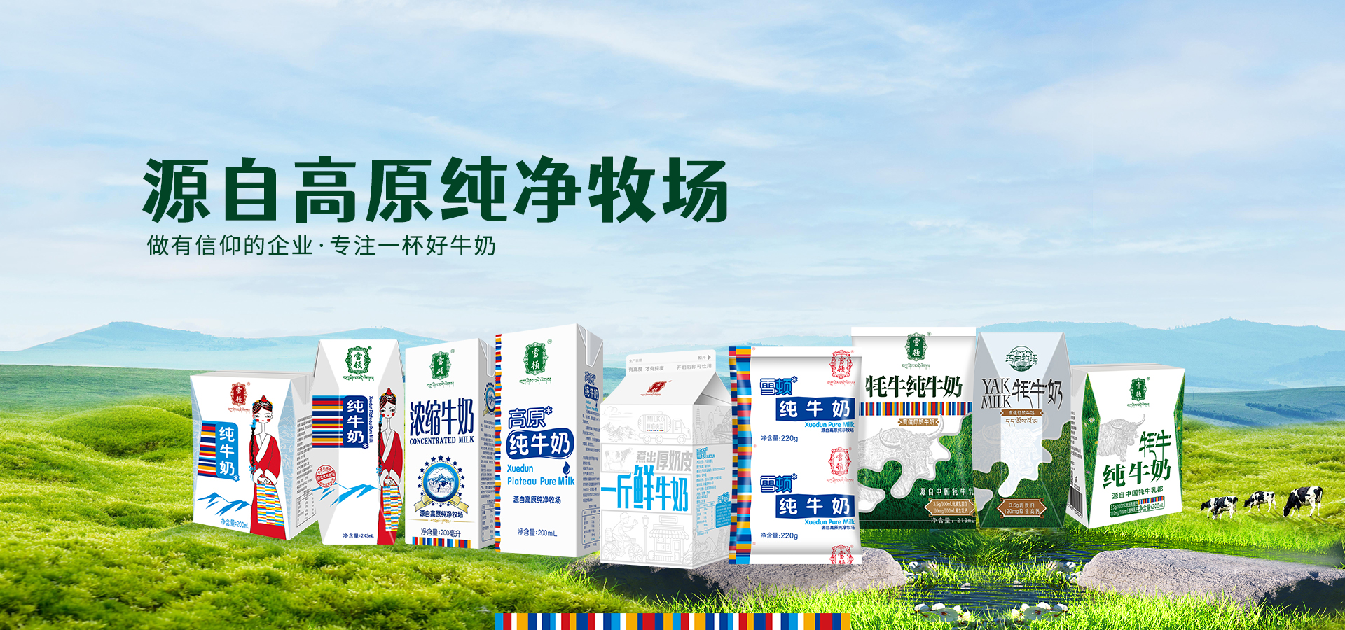 大图4